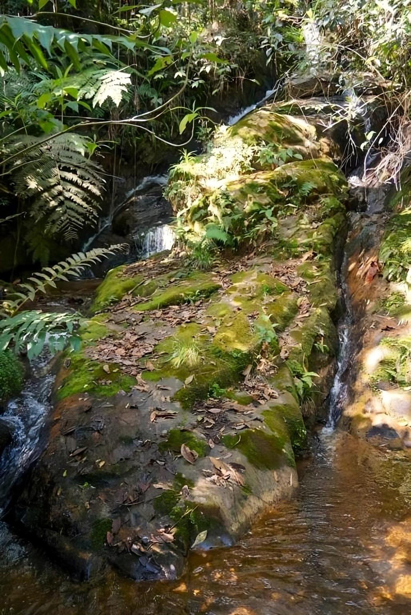 Encanto Minicasitas En Medio De La Naturaleza 산타 엘레나 외부 사진