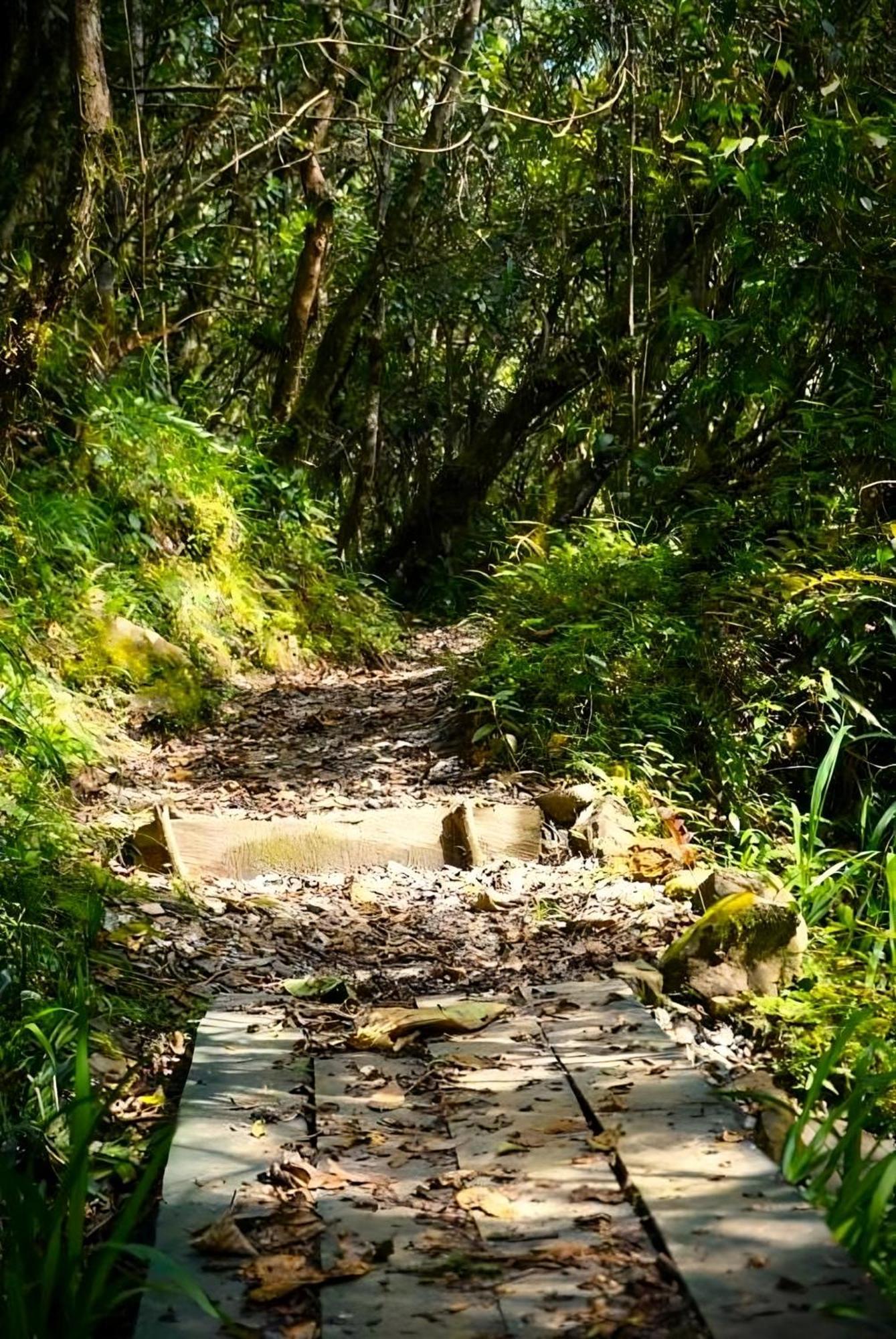 Encanto Minicasitas En Medio De La Naturaleza 산타 엘레나 외부 사진